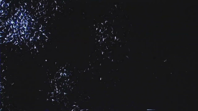 My Chemical Romance – The Foundations of Decay