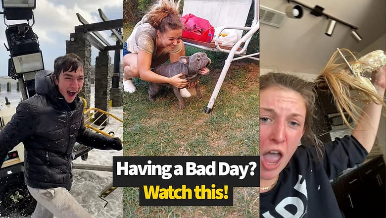 Try Not To Laugh | Best Videos Of The Month