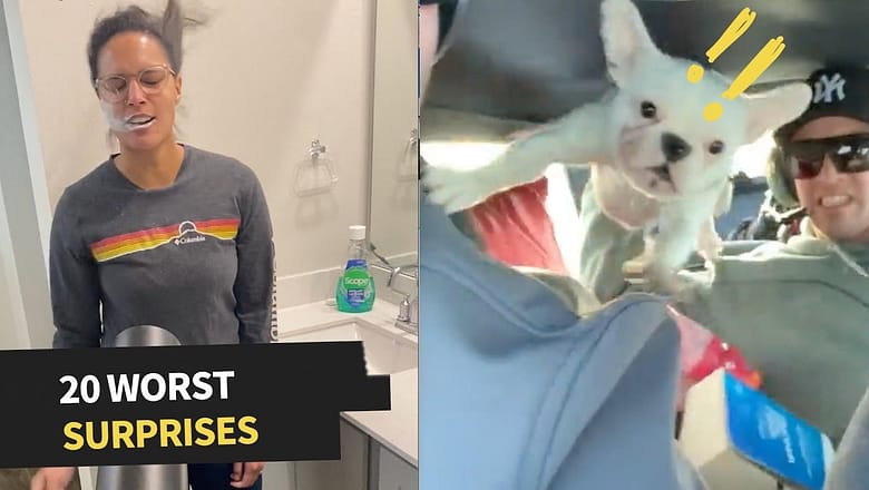 Worst And Most Hilarious Surprises Caught On Camera