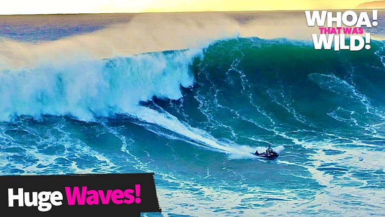 Huge Waves That Will Blow Your Mind | Whoa! That Was Wild!