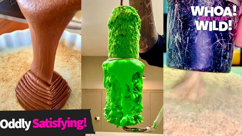 Oddly Satisfying Videos | Whoa! That Was Wild!