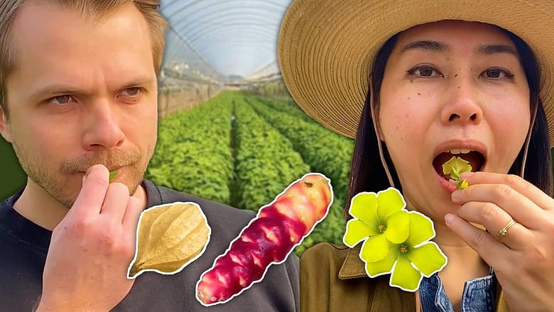 We Ate An Entire Garden Of Rare Fruit