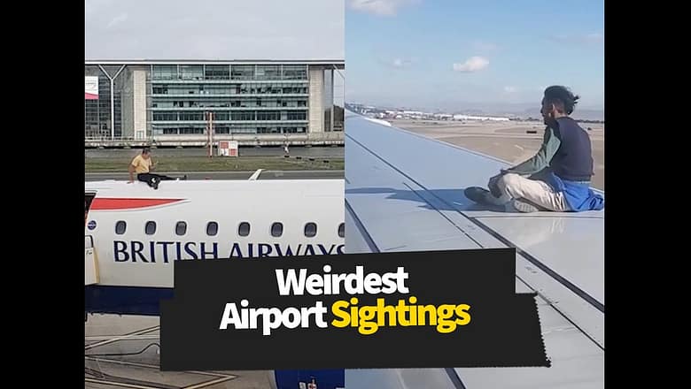 Weirdest Airport Sightings Caught on Video ?