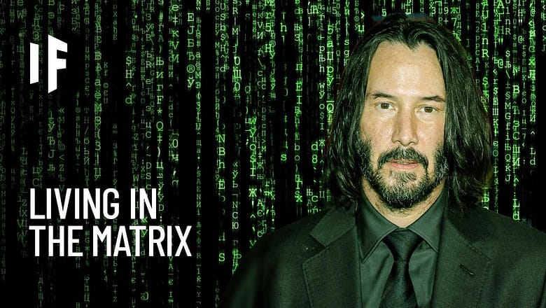 What If You Lived in the Matrix?