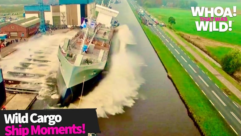 Wild Footage Caught From Cargo Ships! | Whoa That Was Wild
