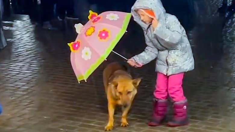 Animals – Human’s Best Friends I Best Friendship Moments