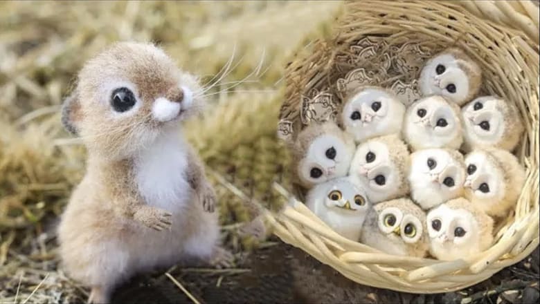 AWW SO CUTE! Cutest baby animals Videos Compilation Cute moment of the Animals – Cutest Animals #12