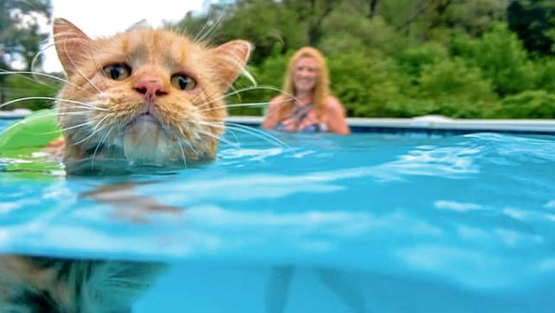 Funny ANIMALS + WATER = LAUGH super hard!