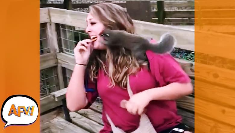 He Stole the FAIL Right Outta Her MOUTH! ? | Best Funny Fails | AFV 2022