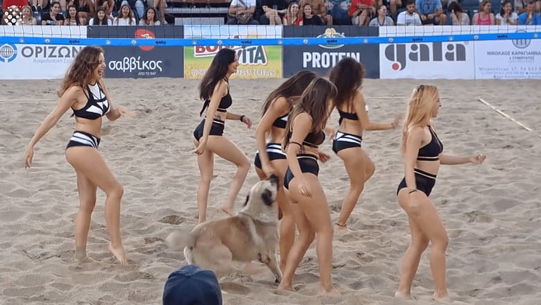 Hilarious moment dog interrupts cheerleader show