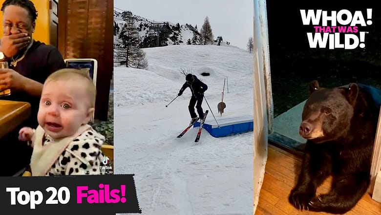 Top 20 Best Viral Videos of the Month | Whoa! That Was Wild!