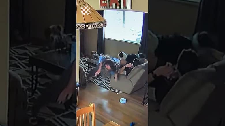 Woman freaks out as spider descends from ceiling