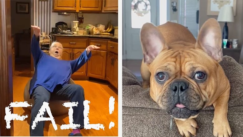 You Gotta FAIL It to Believe It ? | Best Funny Fails | AFV 2022