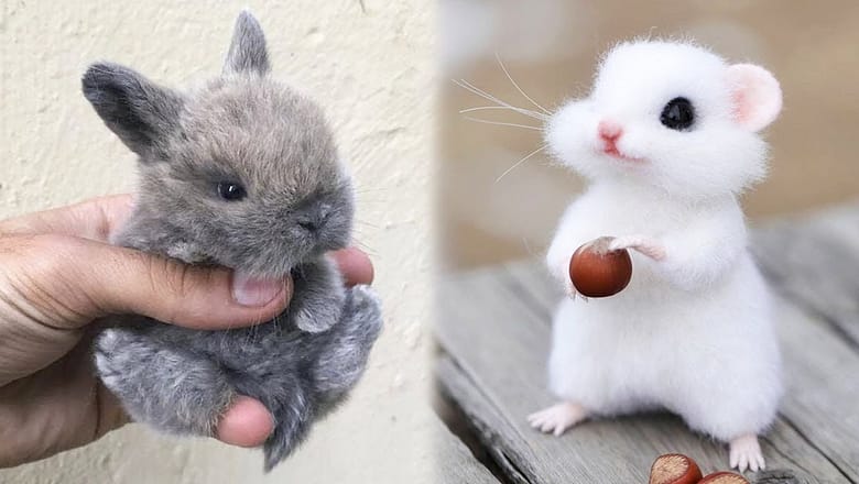 AWW SO CUTE! Cutest baby animals Videos Compilation Cute moment of the Animals – Cutest Animals #16