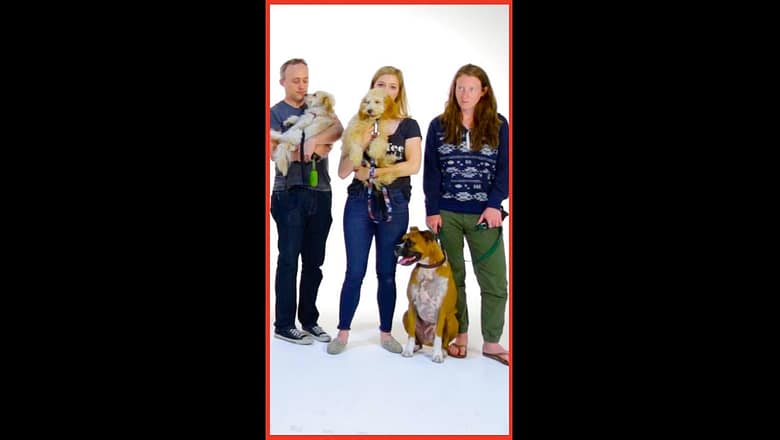 Do These People Look Like Their Dogs? #shorts