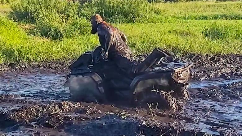 Guy Gets Stuck In Mud I Viral Videos Of The Week