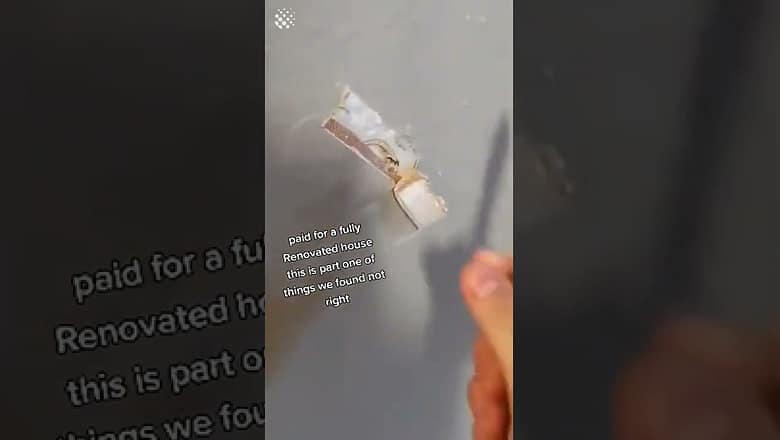 Home Renovation Disaster as this Woman Discovers Bandaids Used to Fix her Wall