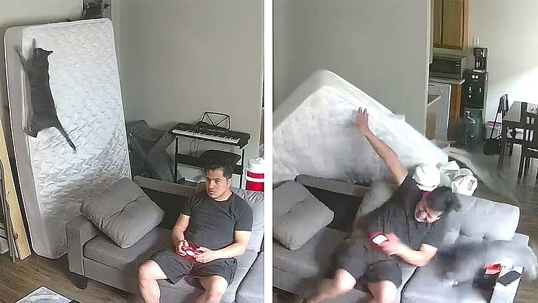 Security Cam FAILS That Go Hard! ? Funny Security Camera Fail Videos | AFV 2022
