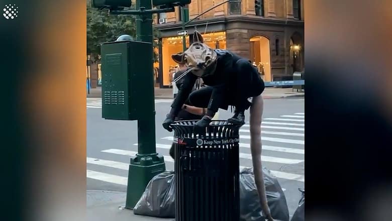 Street performer roams around NYC dressed as a giant rat
