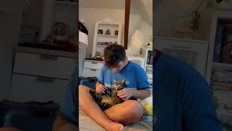 Cat Gets Most Relaxing Paw Massage From Owner