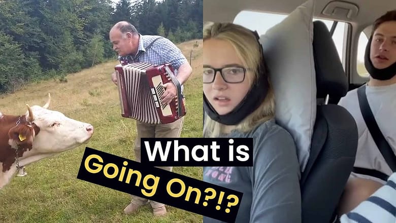 Top 15 Strangest and Hilarious Videos on the Internet