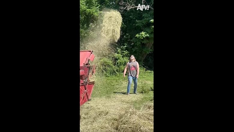 Hay, at least he didn’t bale! ? #fail #farm #fall #funny