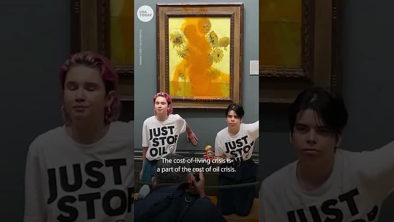 Just Stop Oil protesters throw soup at Vincent van Gogh’s ‘Sunflowers’ | USA TODAY #Shorts