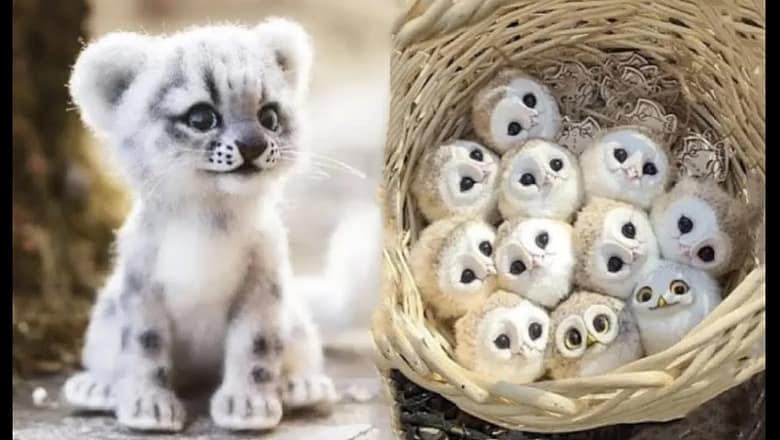 Cute baby animals Videos Compilation cute moment of the animals #5 Cutest Animals 2022