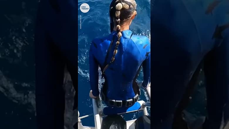 Lucky diver narrowly avoids losing her flippers to biting tiger shark | USA TODAY #Shorts
