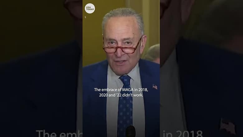 Schumer to Republicans: ‘Embrace MAGA, you’re going to keep losing’ | USA TODAY #Shorts
