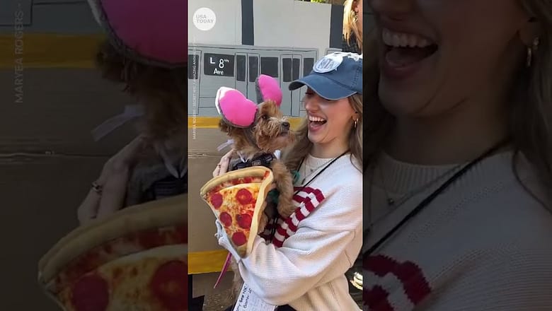 These dressed up dogs are ready for ‘Howl’-oween! | USA TODAY #Shorts