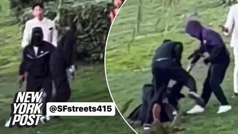 VIDEO: Wedding photographer pistol-whipped in front of newlyweds in San Francisco | New York Post