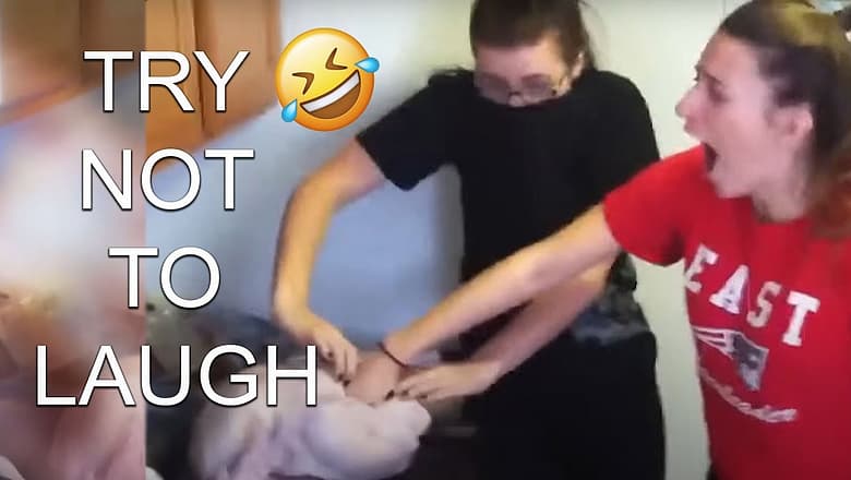 [2 HOUR] Try Not To Laugh Challenge! ? Funniest Fails of the Week | AFV 2022