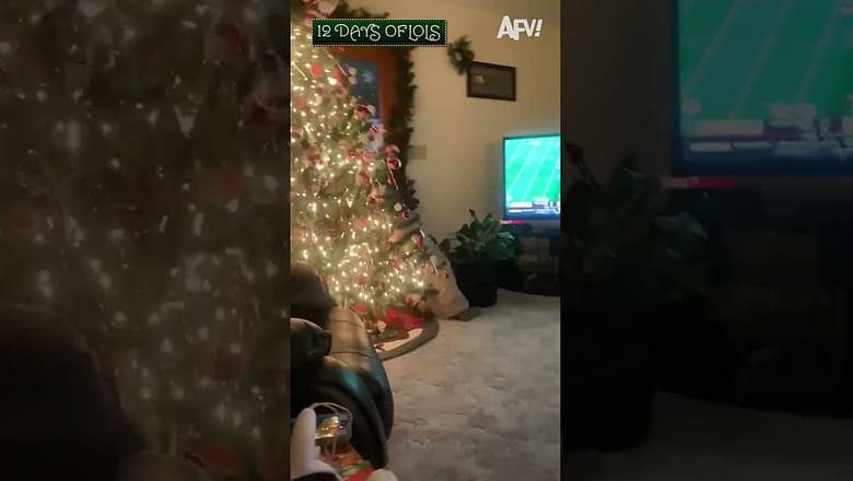 Virtual reality meets Christmas tree ? #shorts #12DaysofLols #afv #funny #Christmas #holiday #fail
