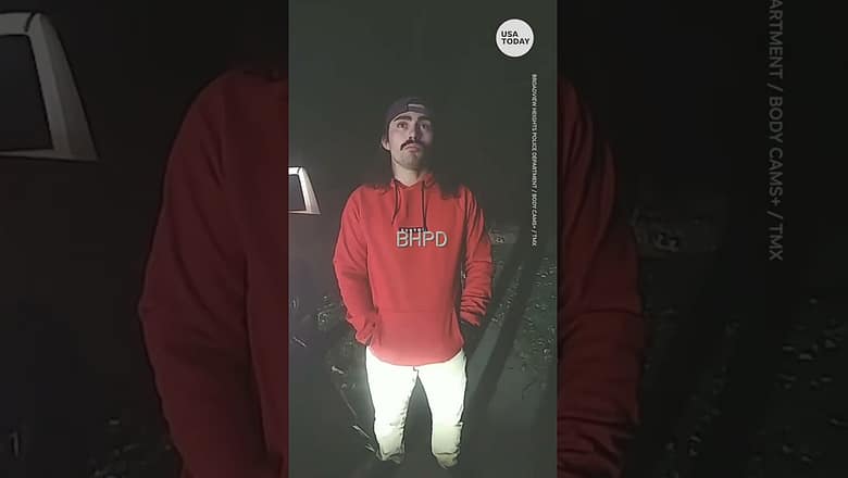 Driver does backflip in attempt to prove sobriety after traffic stop | USA TODAY #Shorts