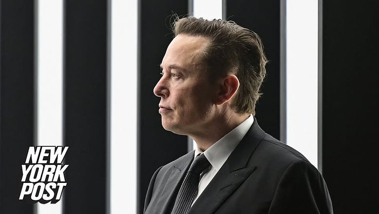 Elon Musk ‘earns’ Guinness World Record for ‘largest loss of personal fortune in history’ | NY Post
