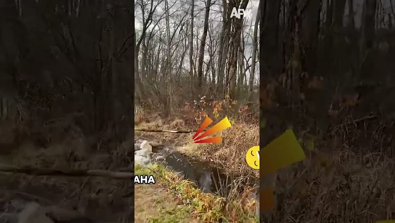 What Was the Goal Here?! ? #fail #nature #outdoor #fall