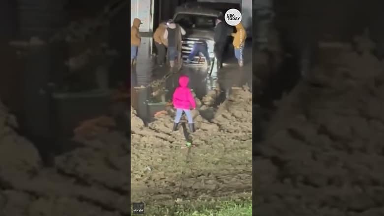 Adorable little girl gets stuck while walking through mud | USA TODAY #Shorts
