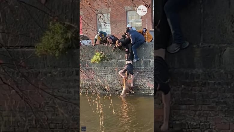 Good Samaritans save stranger’s dog from drowning | USA TODAY #Shorts