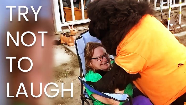 [2 HR] TRY NOT TO LAUGH Challenge ? ?  Best of the WORST FAILS!! Funny Videos Compilation | AFV 2023