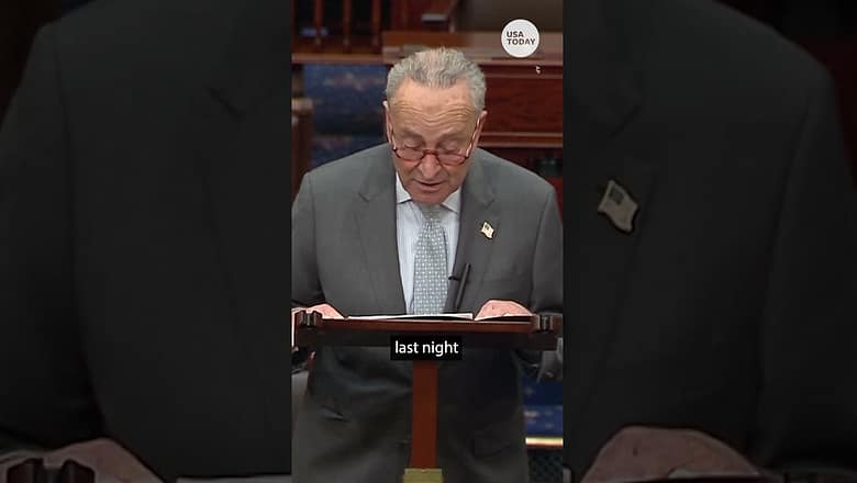 Chuck Schumer attacks Tucker Carlson over Jan. 6 lies | USA TODAY #Shorts