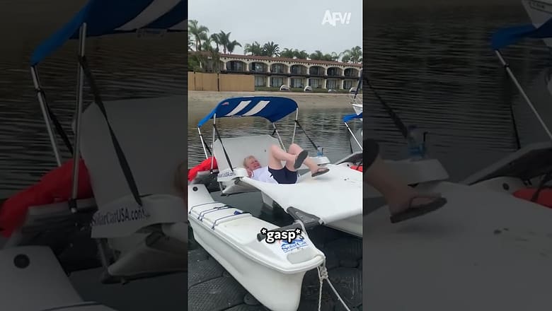 The NOT-SO-FUN-CAT!! ? ? #funny #cats #funnypets #afv #shorts