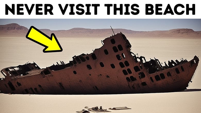 500 Shipwrecks and 11 Shark Species: Never Visit This Beach