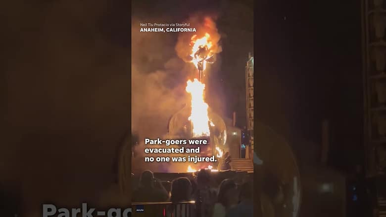 Animatronic dragon catches on fire during Disneyland ‘Fantasmic!’ show #Shorts