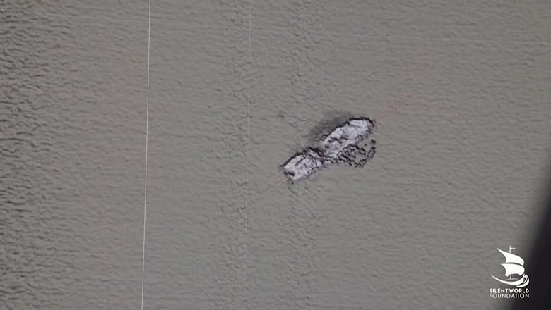 Montevideo Maru found | Japanese WWII ship sunk with over 1,000 Allied POWs aboard