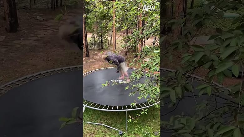 ? ?She Couldn’t Believe What Just Happened!!  #fail #funny #shorts #comedy #afv #funnykids