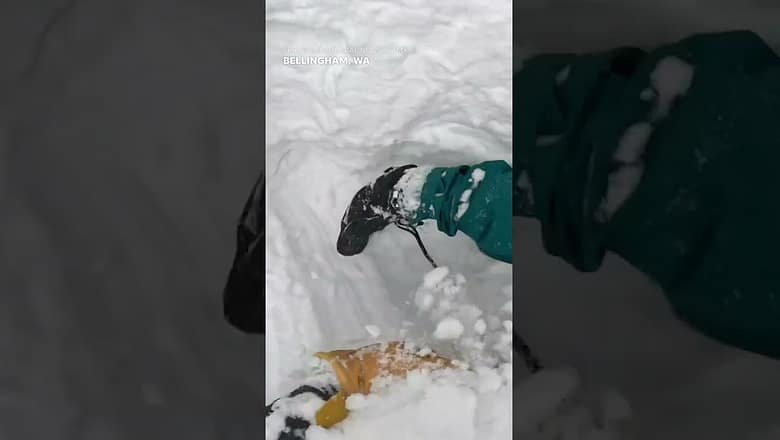 Snowboarder buried alive in snow rescued by Good Samaritan skier #Shorts
