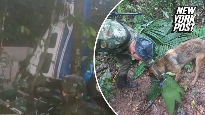 4 kids found alive two weeks after plane crashes in Colombian jungle | New York Post