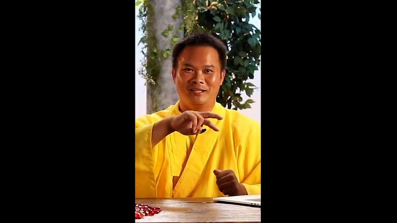 Sword Expert Explain Moves From The Legend Of Zelda – The Wind Waker (2002) #shorts