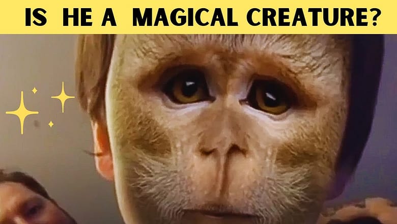 Kids Are The Best Magicians! | Magic You’ll Love
